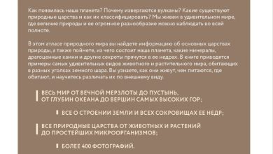 Photo of Путешествие по итальянским вкусам