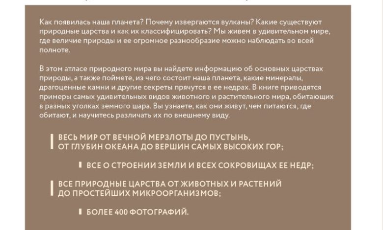 Photo of Путешествие по итальянским вкусам