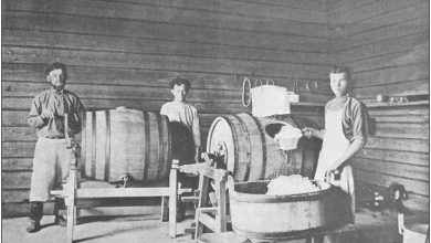 Photo of Древнейшие корни производства сыра