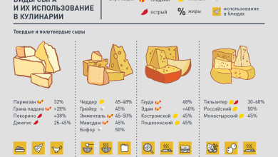 Photo of Твердые сыры и их особенности
